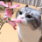 unimych